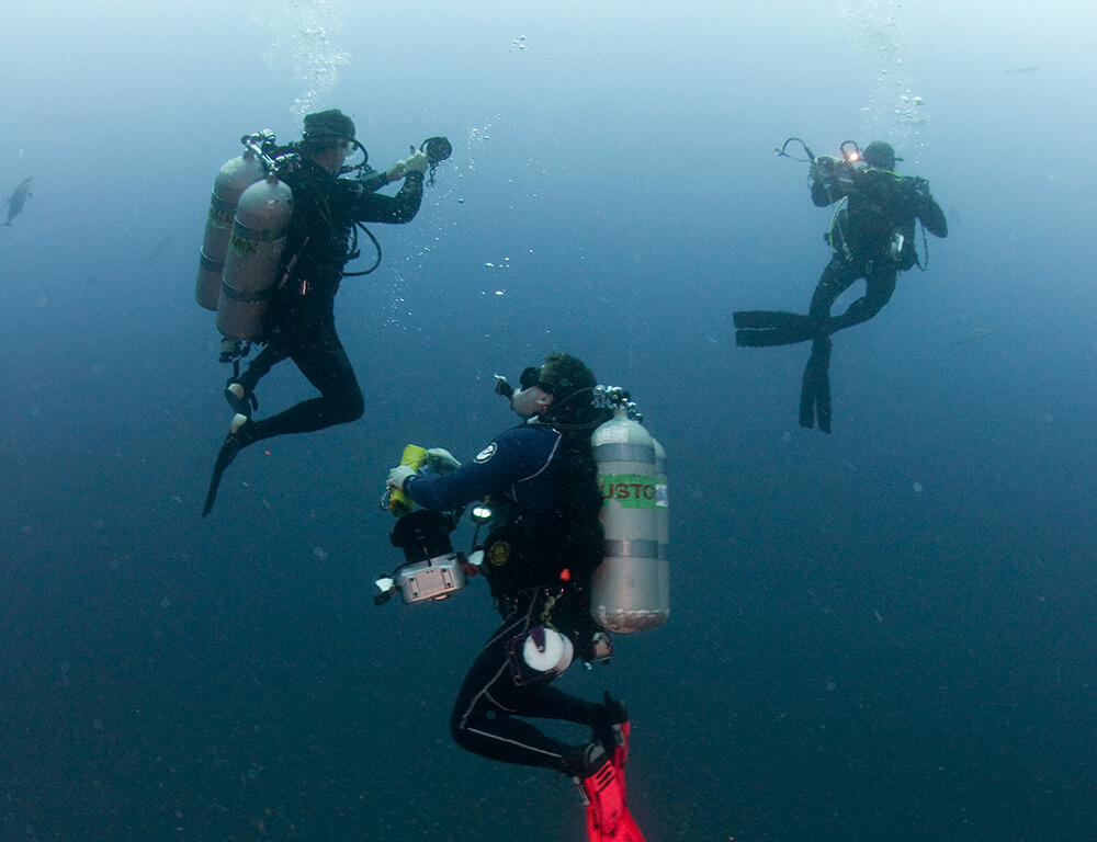 three divers in the water