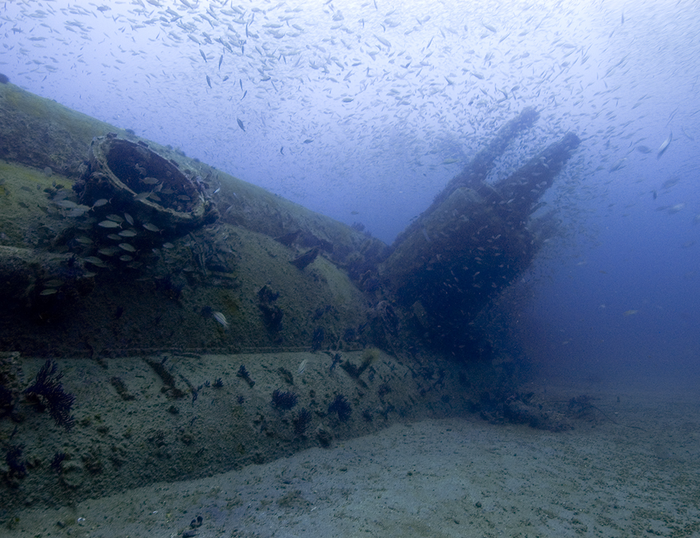 an old sunkin U-boat