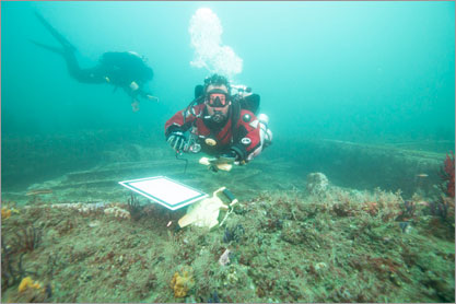 divers examining a wreck