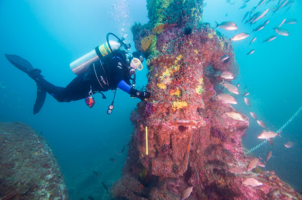 A diver poses for a picture near a part of a shipwreck