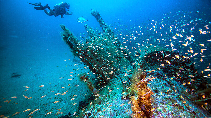 A scuba diver swims near a shipwreck that is surounded by fish