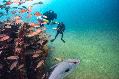 two diver examine a wreak with a school of fish swim over