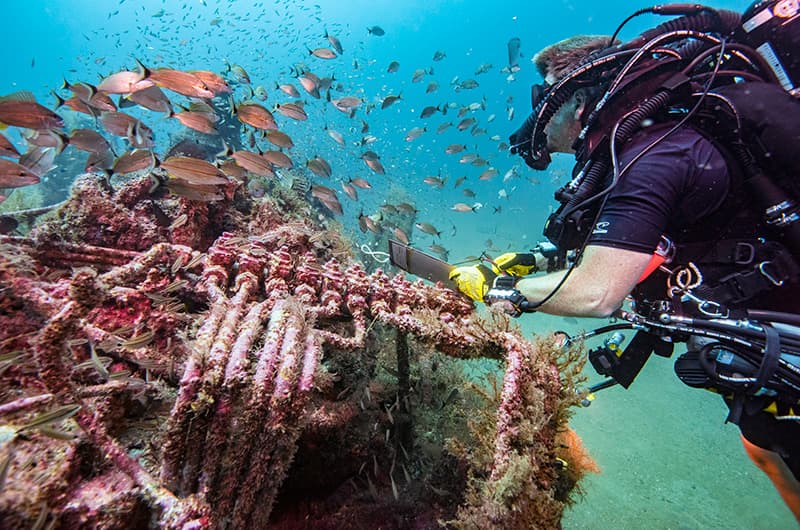 A diver inspects a shipwreck while a school of fish swims over the wreck