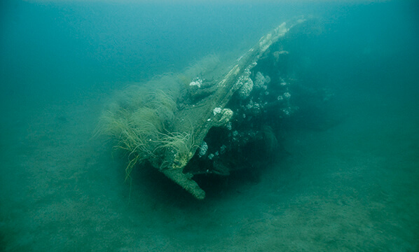 The bow of the bedloe resting on the seafloor