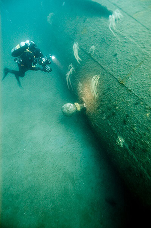 Diver examining the bedloe wreck