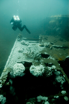 A diver swims over the USCGC Bedloe’s wheelhouse
