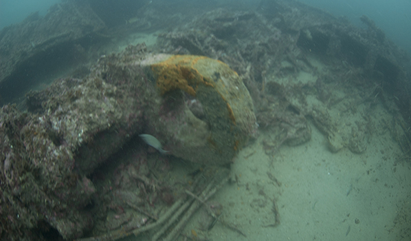 Crankshaft on the wreck of Ario