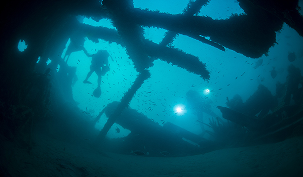 Diver on <i>Australia</i> wreck site. Photo: NOAA