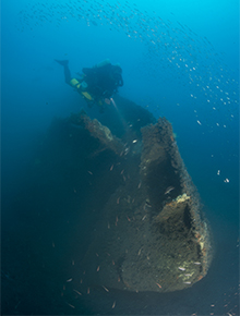 Underwater image of Liberator wreck site